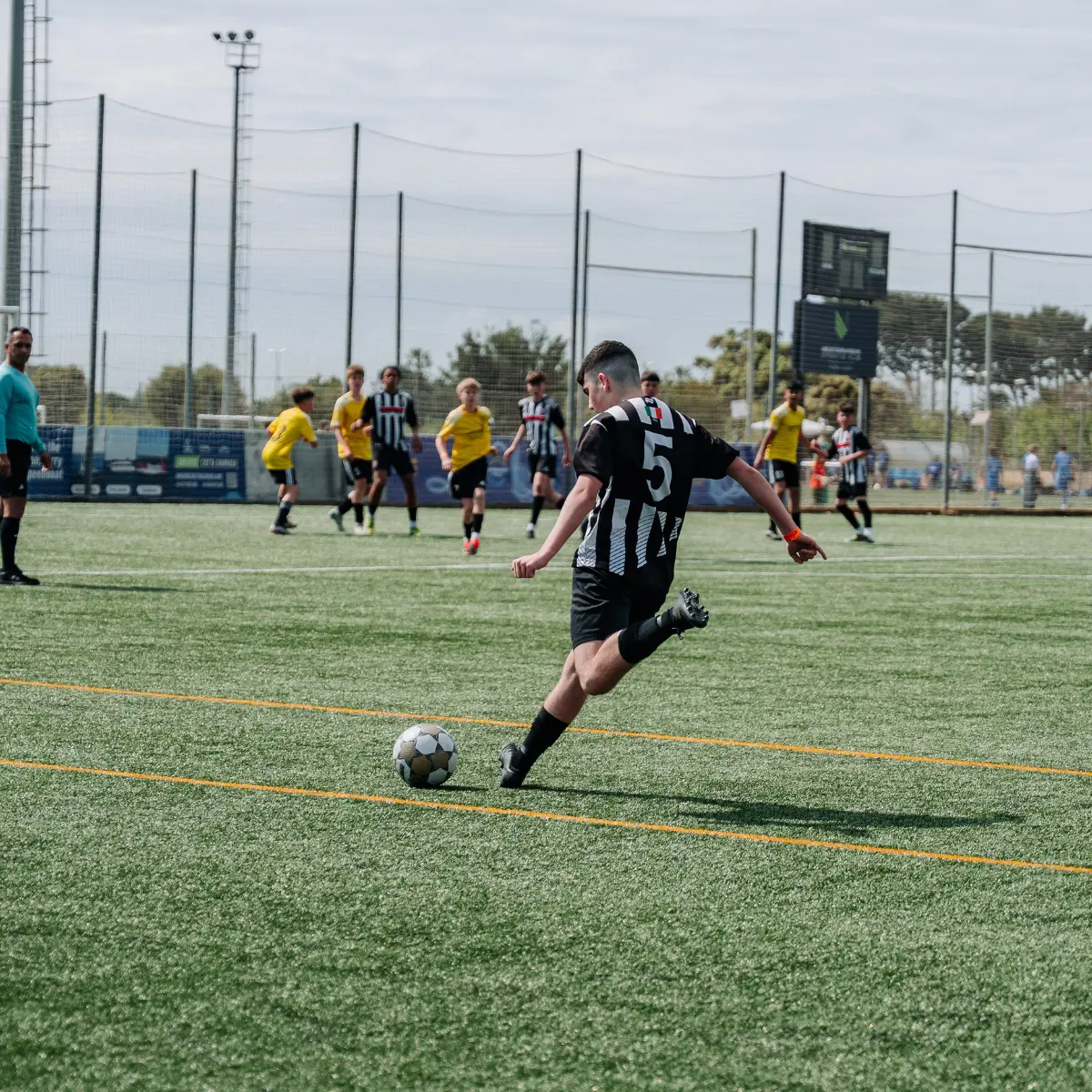 BALLFREUNDE im neuen Design
